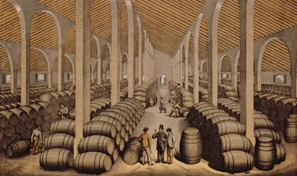 Wine Cellar at Jerez de la Frontera